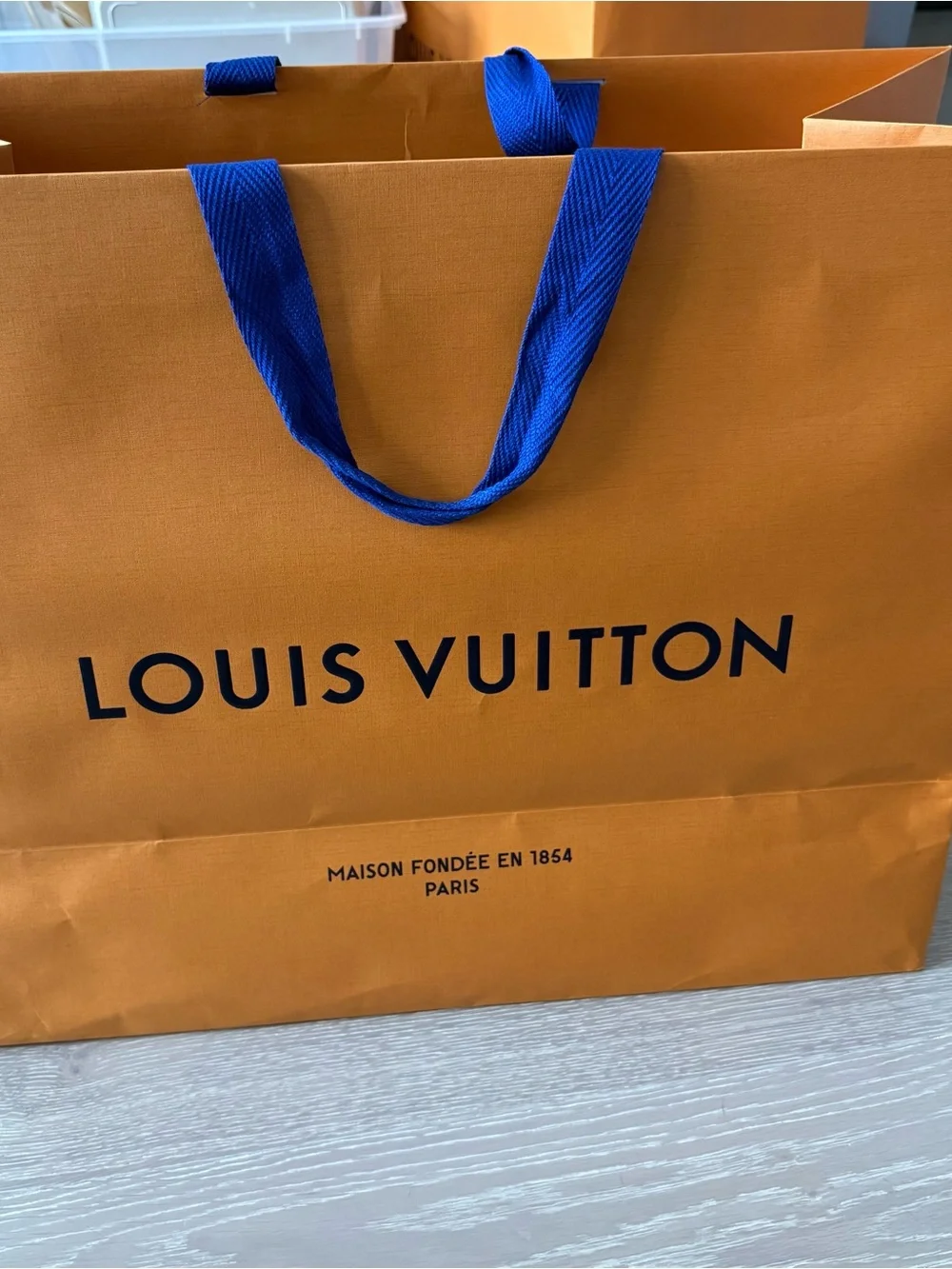Louis Vuitton Medium Large Shopping Gift Bag